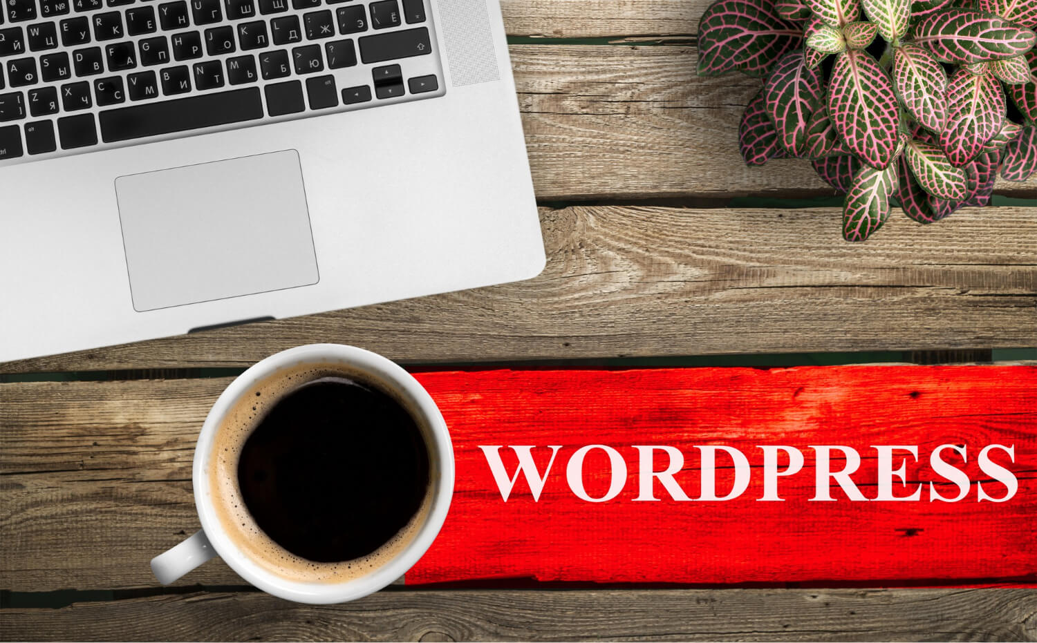 wordpress websites