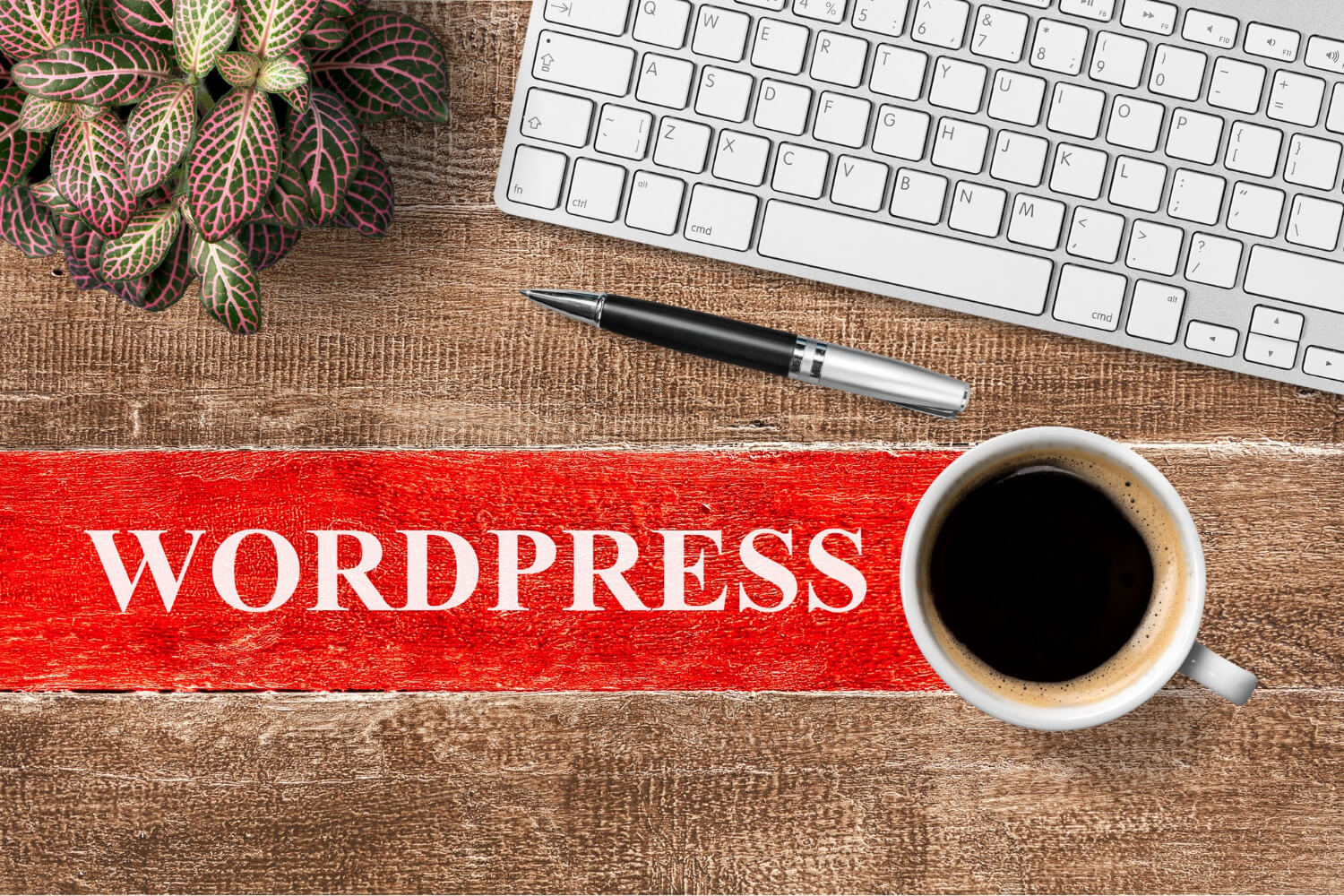 wordpress