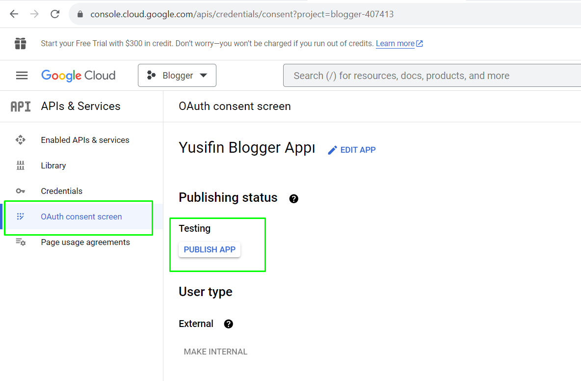Blogger App verification