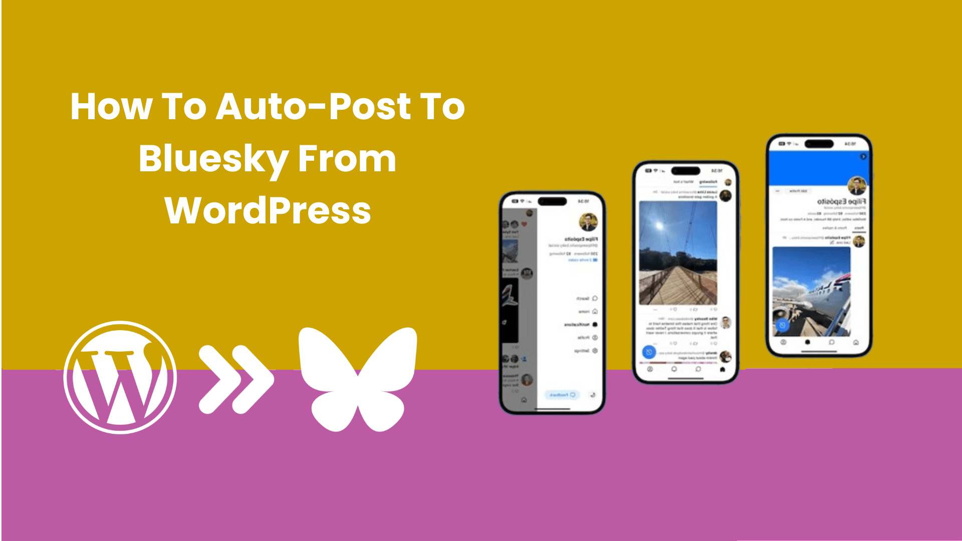 How to Automatically Post Bluesky Posts From WordPress?