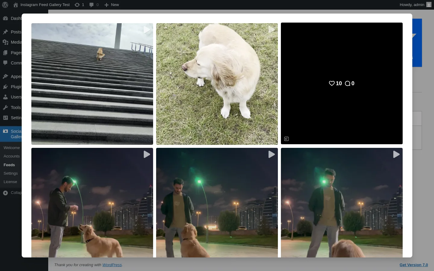 Instagram Feed Gallery in-admin Preview Feed modal rendering a 3-column × 4-row Gallery layout of real @cookie.golden.retriever Instagram posts with like and comment counts visible on hover and a View on Instagram CTA below