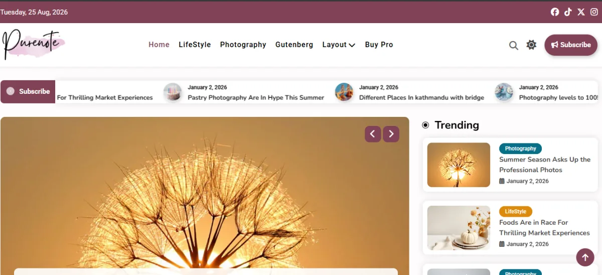 Purenote free blogging WordPress theme homepage