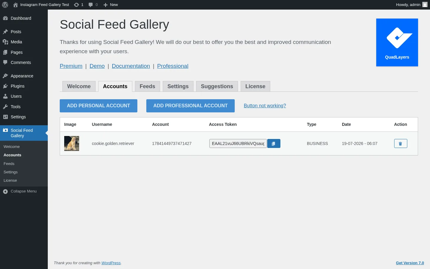 Instagram Feed Gallery Accounts tab showing the Add Personal Account, Add Professional Account and Button not working? CTAs with a connected cookie.golden.retriever BUSINESS account