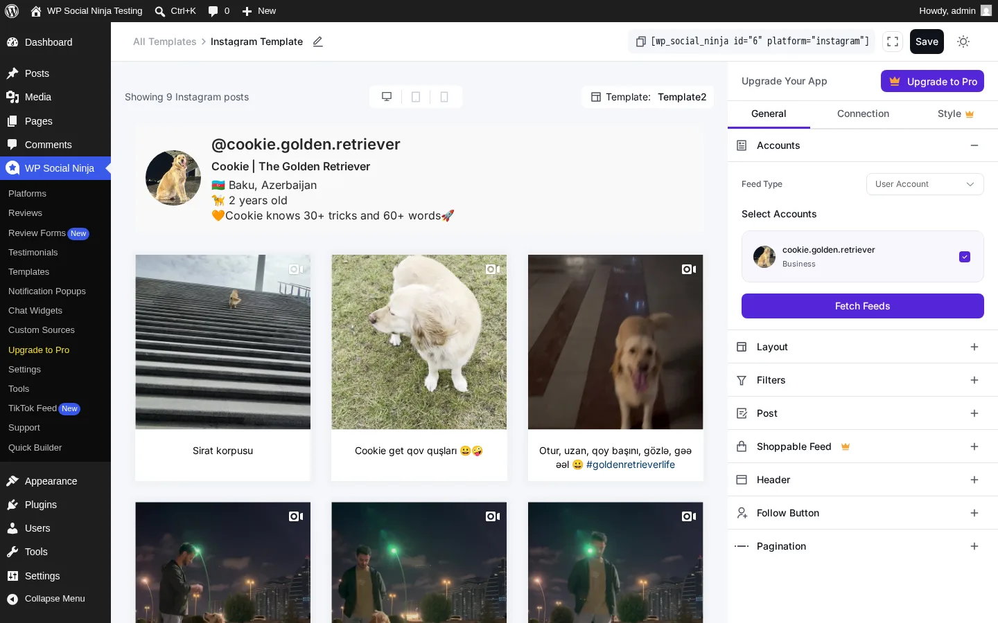 WP Social Ninja Instagram template editor with the live preview and Connection / Style accordions visible on the right